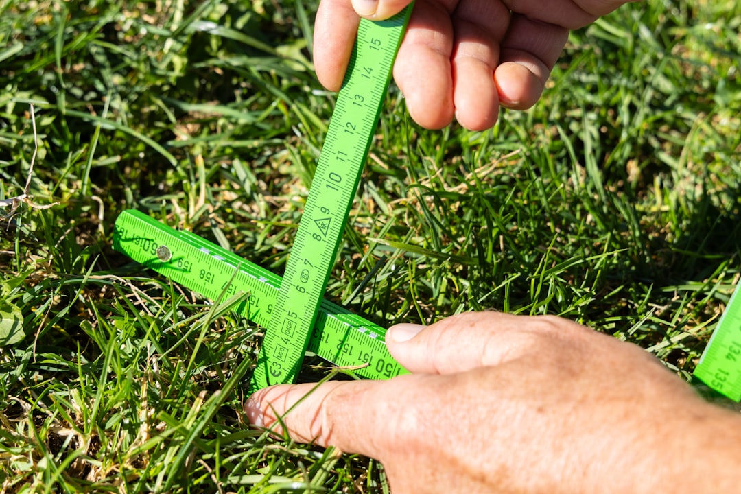 Greșeli la tunderea gazonului